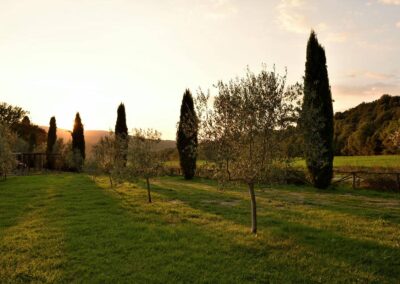 lemascie_giardino_our_garden_004