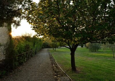 lemascie_giardino_our_garden_006