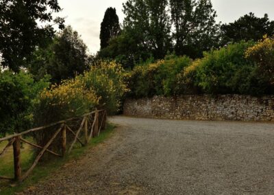 lemascie_giardino_our_garden_025