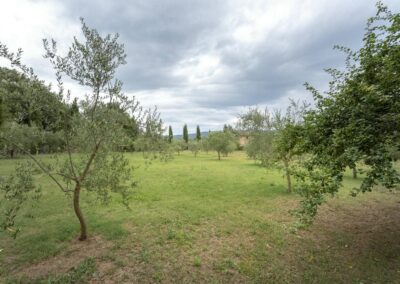 lemascie_giardino_our_garden_049