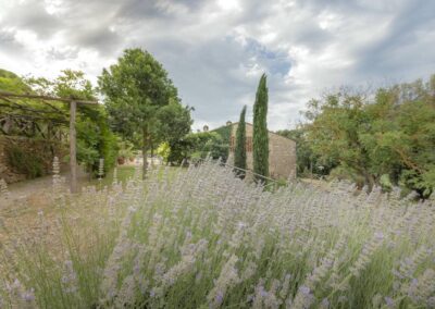 lemascie_giardino_our_garden_057