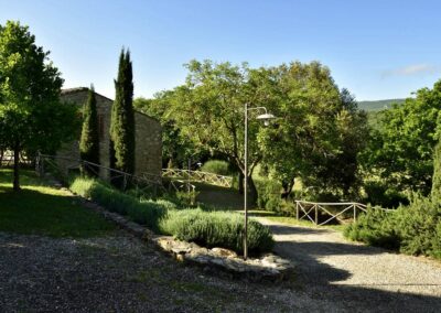 lemascie_giardino_our_garden_090