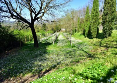 lemascie_giardino_our_garden_093