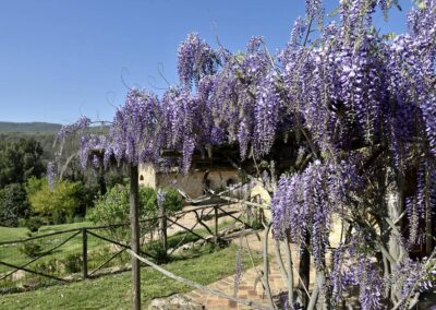 lemascie_giardino_our_garden_098