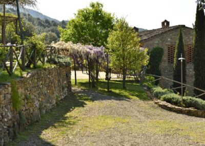 lemascie_giardino_our_garden_099