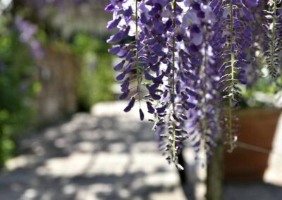 lemascie_giardino_our_garden_101