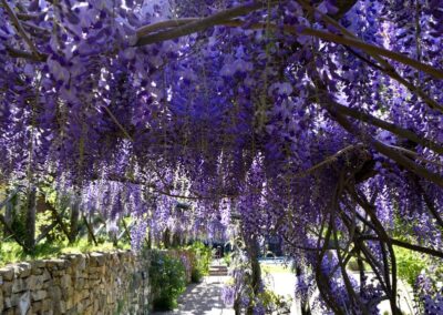 lemascie_giardino_our_garden_106