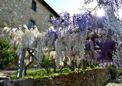 lemascie_giardino_our_garden_107