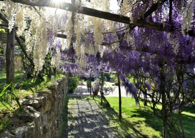 lemascie_giardino_our_garden_108