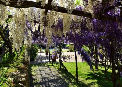 lemascie_giardino_our_garden_109