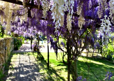 lemascie_giardino_our_garden_110