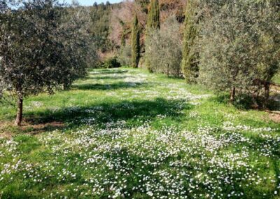 lemascie_giardino_our_garden_115