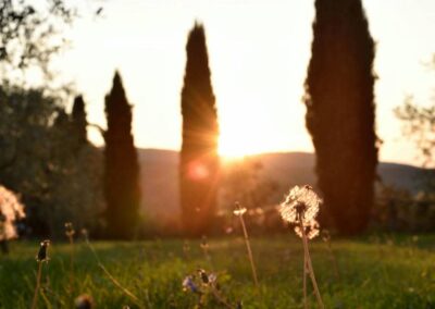 lemascie_giardino_our_garden_120