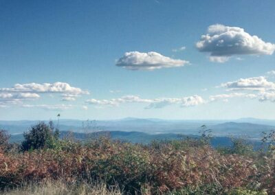 lemascie_montieri_panorama_04