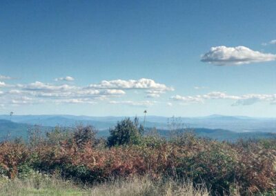 lemascie_montieri_panorama_05